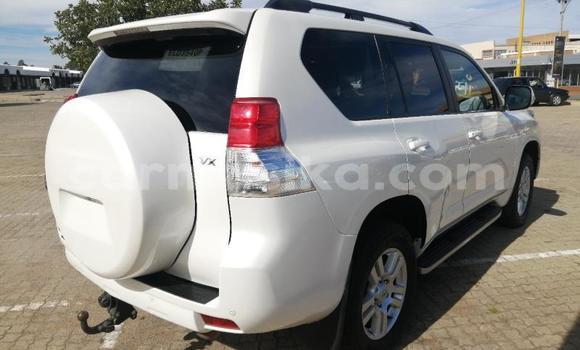Acheter Occasion Voiture Toyota Prado Blanc à Beitbridge, Matabeleland South Acheter Occasion Voiture Toyota Prado Blanc à Beitbridge, Matabeleland South