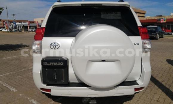 Acheter Occasion Voiture Toyota Prado Blanc à Beitbridge, Matabeleland South Acheter Occasion Voiture Toyota Prado Blanc à Beitbridge, Matabeleland South