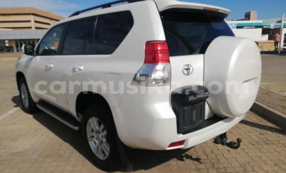 Acheter Occasion Voiture Toyota Prado Blanc à Beitbridge, Matabeleland South Acheter Occasion Voiture Toyota Prado Blanc à Beitbridge, Matabeleland South