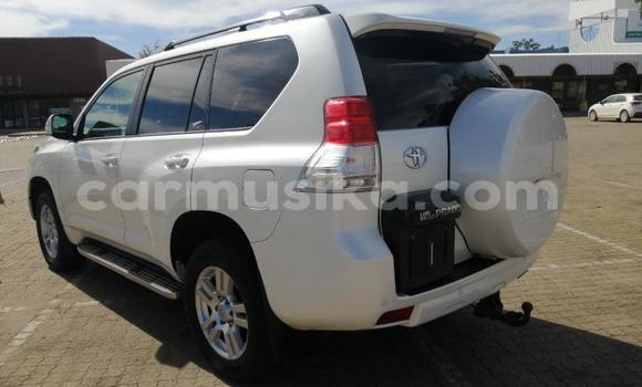 Acheter Occasion Voiture Toyota Prado Blanc à Beitbridge, Matabeleland South Acheter Occasion Voiture Toyota Prado Blanc à Beitbridge, Matabeleland South