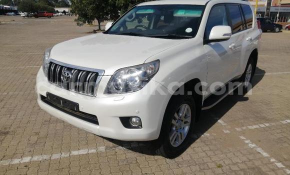 Acheter Occasion Voiture Toyota Prado Blanc à Beitbridge, Matabeleland South Acheter Occasion Voiture Toyota Prado Blanc à Beitbridge, Matabeleland South