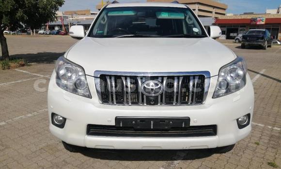 Acheter Occasion Voiture Toyota Prado Blanc à Beitbridge, Matabeleland South Acheter Occasion Voiture Toyota Prado Blanc à Beitbridge, Matabeleland South