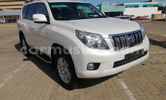 Acheter Occasion Voiture Toyota Prado Blanc à Beitbridge, Matabeleland South Acheter Occasion Voiture Toyota Prado Blanc à Beitbridge, Matabeleland South