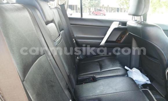 Acheter Occasion Voiture Toyota Prado Blanc à Beitbridge, Matabeleland South Acheter Occasion Voiture Toyota Prado Blanc à Beitbridge, Matabeleland South