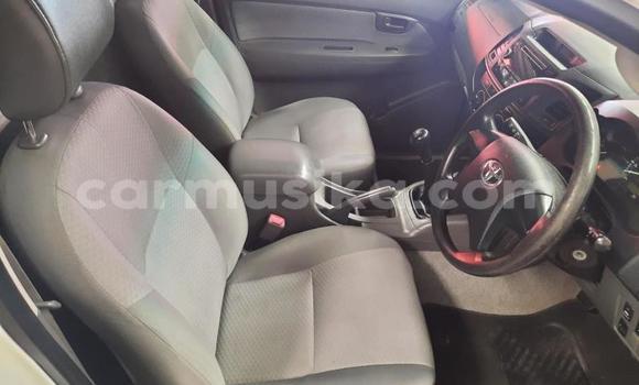 Tenga Tsaru Toyota Hilux Chena Mota in Beitbridge in Matabeleland South Tenga Tsaru Toyota Hilux Chena Mota in Beitbridge in Matabeleland South