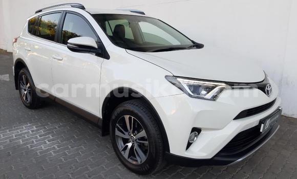 Tenga Tsaru Toyota RAV4 Chena Mota in Beitbridge in Matabeleland South