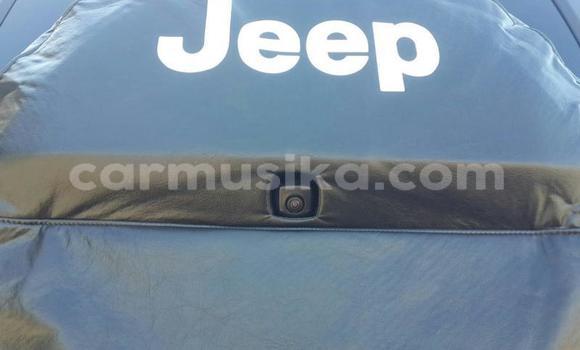 Tenga Tsaru Jeep Commander Nhema Mota in Beitbridge in Matabeleland South Tenga Tsaru Jeep Commander Nhema Mota in Beitbridge in Matabeleland South