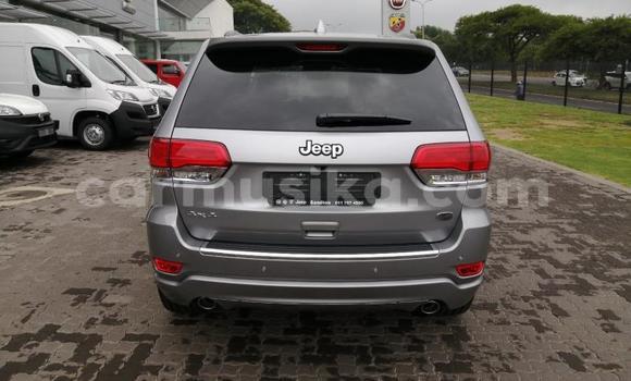 Tenga Tsaru Jeep Patriot Sirivha Mota in Beitbridge in Matabeleland South Tenga Tsaru Jeep Patriot Sirivha Mota in Beitbridge in Matabeleland South