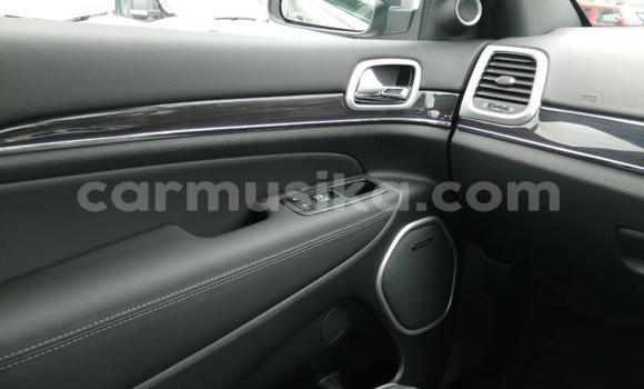 Tenga Tsaru Jeep Patriot Sirivha Mota in Beitbridge in Matabeleland South Tenga Tsaru Jeep Patriot Sirivha Mota in Beitbridge in Matabeleland South