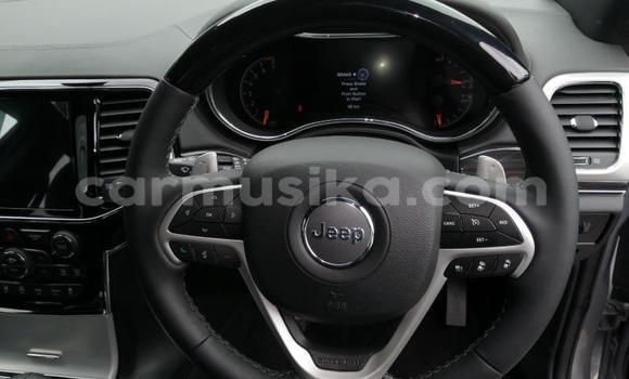 Tenga Tsaru Jeep Patriot Sirivha Mota in Beitbridge in Matabeleland South Tenga Tsaru Jeep Patriot Sirivha Mota in Beitbridge in Matabeleland South