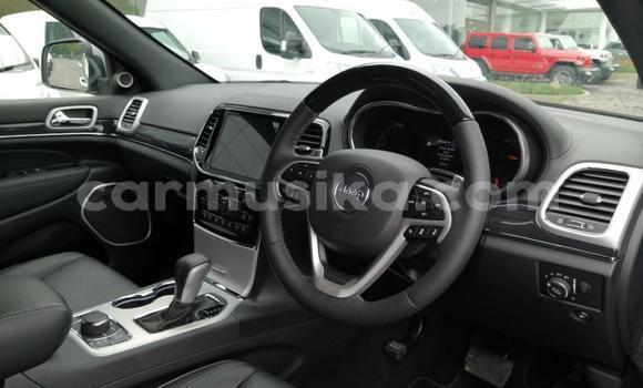 Tenga Tsaru Jeep Patriot Sirivha Mota in Beitbridge in Matabeleland South Tenga Tsaru Jeep Patriot Sirivha Mota in Beitbridge in Matabeleland South