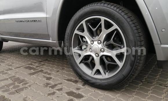 Tenga Tsaru Jeep Patriot Sirivha Mota in Beitbridge in Matabeleland South Tenga Tsaru Jeep Patriot Sirivha Mota in Beitbridge in Matabeleland South