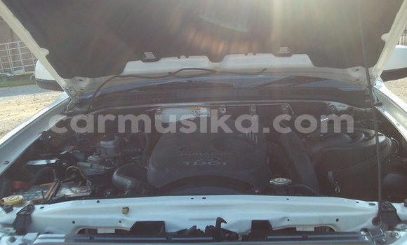 Tenga Tsaru Ford Ranger Chena Mota in Beitbridge in Matabeleland South Tenga Tsaru Ford Ranger Chena Mota in Beitbridge in Matabeleland South