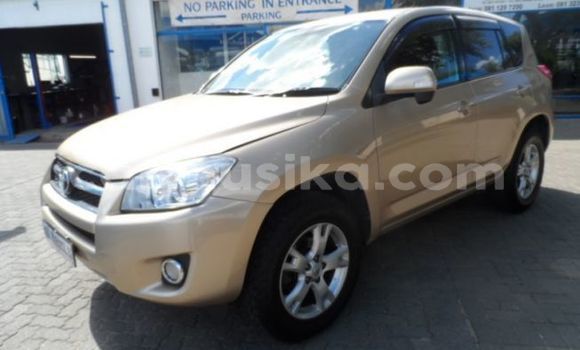 Buy Used Toyota RAV4 Silver Car in Beitbridge in Matabeleland South Buy Used Toyota RAV4 Silver Car in Beitbridge in Matabeleland South