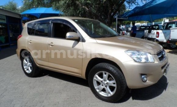 Buy Used Toyota RAV4 Silver Car in Beitbridge in Matabeleland South Buy Used Toyota RAV4 Silver Car in Beitbridge in Matabeleland South