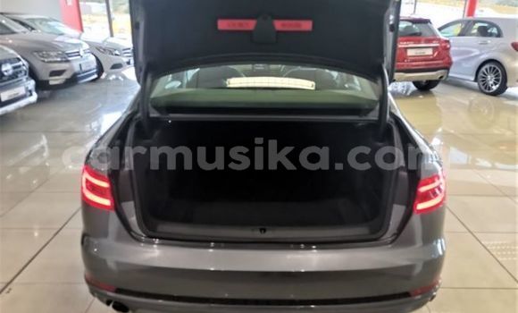 Tenga Tsaru Audi A6 Sirivha Mota in Beitbridge in Matabeleland South Tenga Tsaru Audi A6 Sirivha Mota in Beitbridge in Matabeleland South