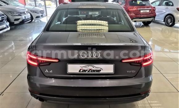Tenga Tsaru Audi A6 Sirivha Mota in Beitbridge in Matabeleland South Tenga Tsaru Audi A6 Sirivha Mota in Beitbridge in Matabeleland South