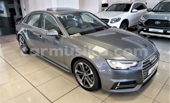 Tenga Tsaru Audi A6 Sirivha Mota in Beitbridge in Matabeleland South Tenga Tsaru Audi A6 Sirivha Mota in Beitbridge in Matabeleland South