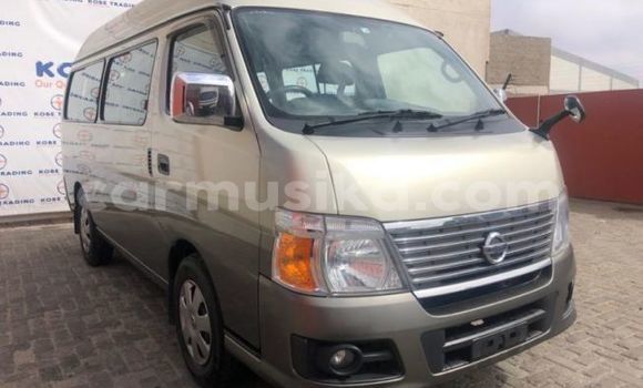 Buy Used Nissan Caravan Silver Car in Beitbridge in Matabeleland South