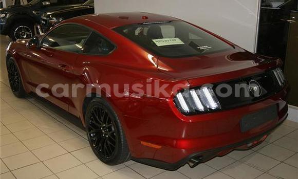 Buy Used Ford Mustang Other Car in Beitbridge in Matabeleland South Buy Used Ford Mustang Other Car in Beitbridge in Matabeleland South
