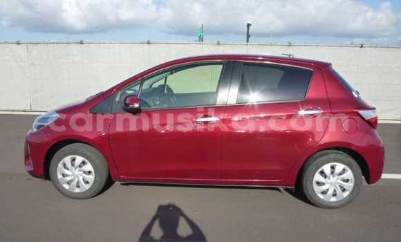 Acheter Occasion Voiture Toyota Vitz Rouge à Beitbridge, Matabeleland South Acheter Occasion Voiture Toyota Vitz Rouge à Beitbridge, Matabeleland South