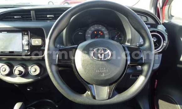 Acheter Occasion Voiture Toyota Vitz Rouge à Beitbridge, Matabeleland South Acheter Occasion Voiture Toyota Vitz Rouge à Beitbridge, Matabeleland South