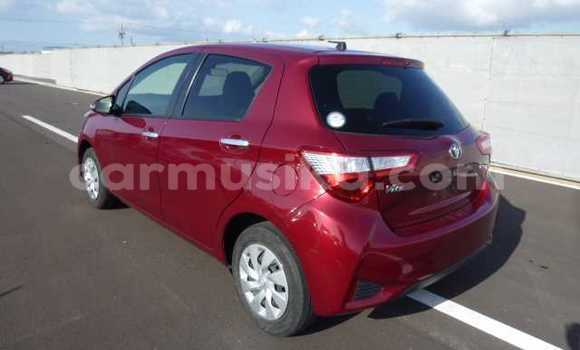 Acheter Occasion Voiture Toyota Vitz Rouge à Beitbridge, Matabeleland South Acheter Occasion Voiture Toyota Vitz Rouge à Beitbridge, Matabeleland South