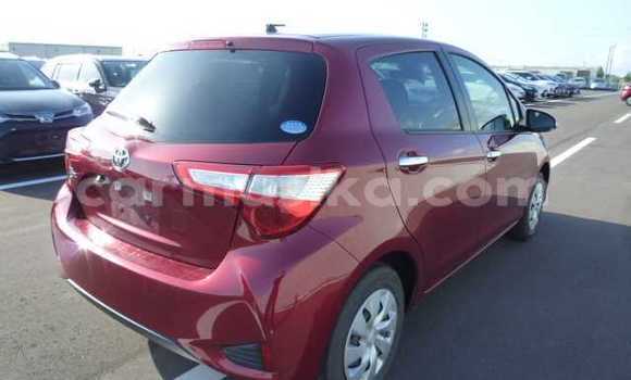 Acheter Occasion Voiture Toyota Vitz Rouge à Beitbridge, Matabeleland South Acheter Occasion Voiture Toyota Vitz Rouge à Beitbridge, Matabeleland South