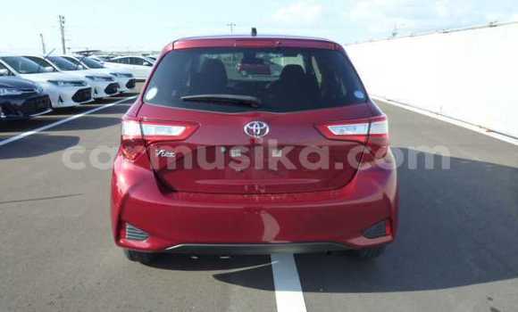 Acheter Occasion Voiture Toyota Vitz Rouge à Beitbridge, Matabeleland South Acheter Occasion Voiture Toyota Vitz Rouge à Beitbridge, Matabeleland South