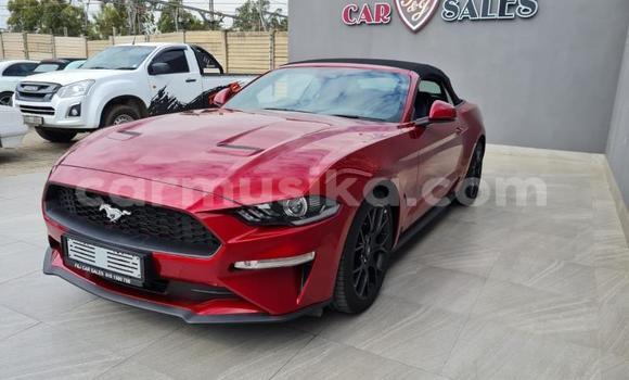 Buy Used FORD MUSTANG Red Car in Beitbridge in Matabeleland South Buy Used FORD MUSTANG Red Car in Beitbridge in Matabeleland South