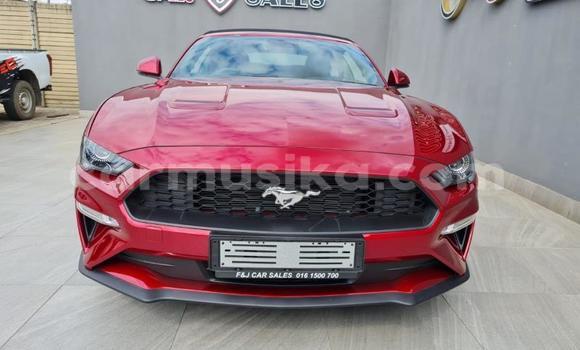 Nunua Ilio tumika FORD MUSTANG Nyekundu Gari ndani ya Beitbridge nchini Matabeleland Kusini Nunua Ilio tumika FORD MUSTANG Nyekundu Gari ndani ya Beitbridge nchini Matabeleland Kusini
