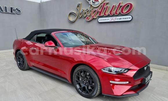 Nunua Ilio tumika FORD MUSTANG Nyekundu Gari ndani ya Beitbridge nchini Matabeleland Kusini Nunua Ilio tumika FORD MUSTANG Nyekundu Gari ndani ya Beitbridge nchini Matabeleland Kusini