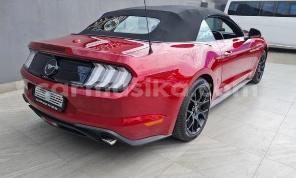 Nunua Ilio tumika FORD MUSTANG Nyekundu Gari ndani ya Beitbridge nchini Matabeleland Kusini Nunua Ilio tumika FORD MUSTANG Nyekundu Gari ndani ya Beitbridge nchini Matabeleland Kusini