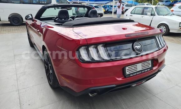Nunua Ilio tumika FORD MUSTANG Nyekundu Gari ndani ya Beitbridge nchini Matabeleland Kusini Nunua Ilio tumika FORD MUSTANG Nyekundu Gari ndani ya Beitbridge nchini Matabeleland Kusini