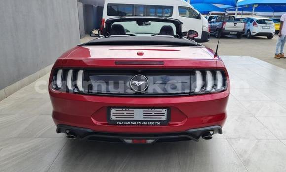 Nunua Ilio tumika FORD MUSTANG Nyekundu Gari ndani ya Beitbridge nchini Matabeleland Kusini Nunua Ilio tumika FORD MUSTANG Nyekundu Gari ndani ya Beitbridge nchini Matabeleland Kusini