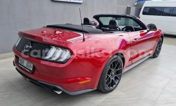 Nunua Ilio tumika FORD MUSTANG Nyekundu Gari ndani ya Beitbridge nchini Matabeleland Kusini Nunua Ilio tumika FORD MUSTANG Nyekundu Gari ndani ya Beitbridge nchini Matabeleland Kusini