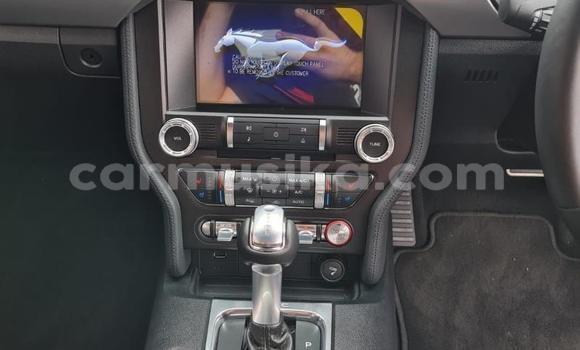 Nunua Ilio tumika FORD MUSTANG Nyekundu Gari ndani ya Beitbridge nchini Matabeleland Kusini Nunua Ilio tumika FORD MUSTANG Nyekundu Gari ndani ya Beitbridge nchini Matabeleland Kusini