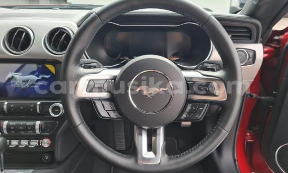 Nunua Ilio tumika FORD MUSTANG Nyekundu Gari ndani ya Beitbridge nchini Matabeleland Kusini Nunua Ilio tumika FORD MUSTANG Nyekundu Gari ndani ya Beitbridge nchini Matabeleland Kusini