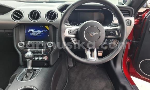 Nunua Ilio tumika FORD MUSTANG Nyekundu Gari ndani ya Beitbridge nchini Matabeleland Kusini Nunua Ilio tumika FORD MUSTANG Nyekundu Gari ndani ya Beitbridge nchini Matabeleland Kusini