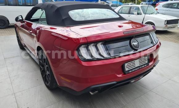 Nunua Ilio tumika FORD MUSTANG Nyekundu Gari ndani ya Beitbridge nchini Matabeleland Kusini Nunua Ilio tumika FORD MUSTANG Nyekundu Gari ndani ya Beitbridge nchini Matabeleland Kusini