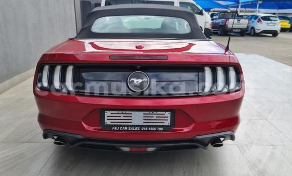 Nunua Ilio tumika FORD MUSTANG Nyekundu Gari ndani ya Beitbridge nchini Matabeleland Kusini Nunua Ilio tumika FORD MUSTANG Nyekundu Gari ndani ya Beitbridge nchini Matabeleland Kusini
