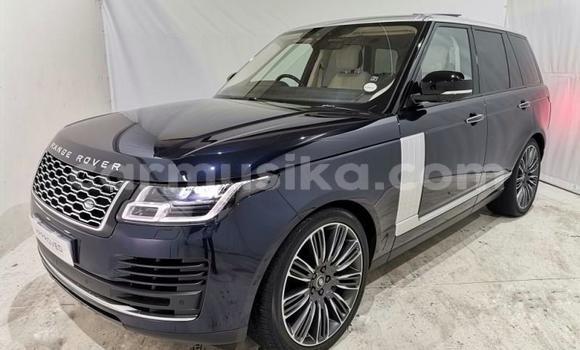 Buy Used Range Rover Evoque Blue Car in Beitbridge in Matabeleland South