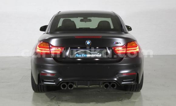 Buy Used BMW M4 Black Car in Beitbridge in Matabeleland South Buy Used BMW M4 Black Car in Beitbridge in Matabeleland South