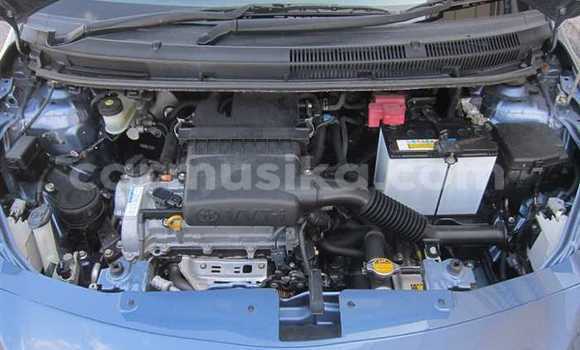 Acheter Occasion Voiture Toyota Belta Bleu à Beitbridge, Matabeleland South Acheter Occasion Voiture Toyota Belta Bleu à Beitbridge, Matabeleland South