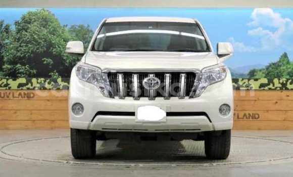 Buy Used Toyota Land Cruiser Prado White Car in Beitbridge in Matabeleland South