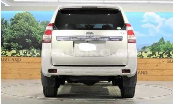 Acheter Occasion Voiture Toyota Land Cruiser Prado Blanc à Beitbridge, Matabeleland South Acheter Occasion Voiture Toyota Land Cruiser Prado Blanc à Beitbridge, Matabeleland South