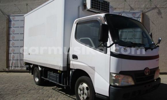 Buy Used Toyota Dyna White Truck in Beitbridge in Matabeleland South
