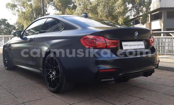 Buy Used BMW M4 Black Car in Beitbridge in Matabeleland South