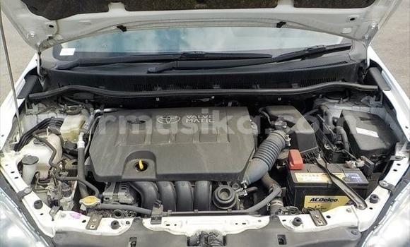 Tenga Tsaru Toyota Wish Chena Mota in Beitbridge in Matabeleland South Tenga Tsaru Toyota Wish Chena Mota in Beitbridge in Matabeleland South