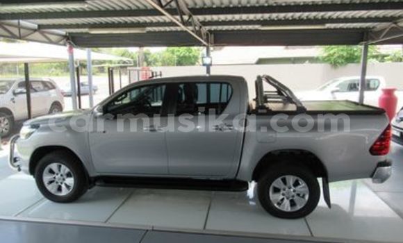 Tenga Tsaru Toyota Hilux Chena Mota in Beitbridge in Matabeleland South